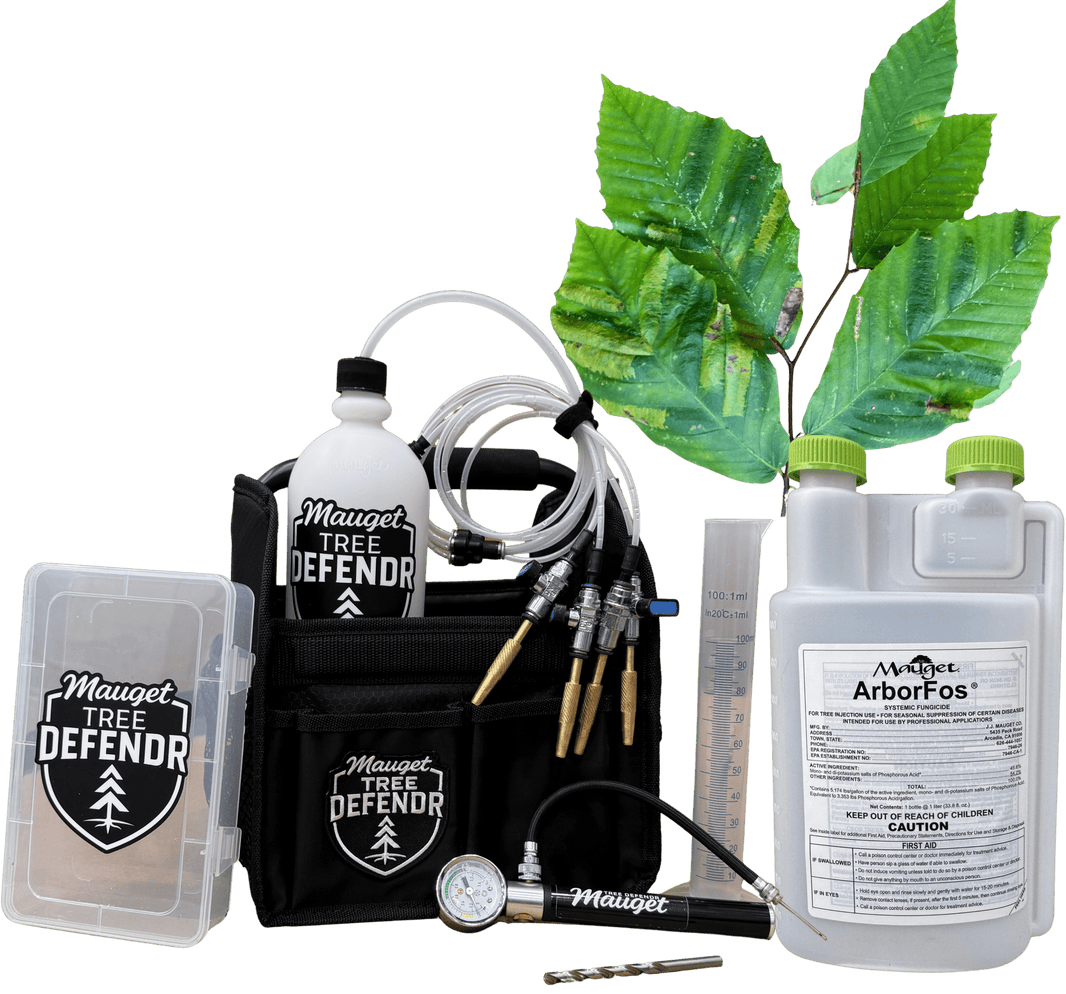 Beech Tree Injection Mauget Tree Defendr Beech Leaf Disease injection kit