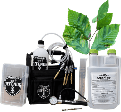 Mauget Tree Defendr Beech Leaf Disease injection kit - Tree Injection Products Co.