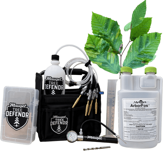 Mauget Tree Defendr Beech Leaf Disease injection kit - Tree Injection Products Co.