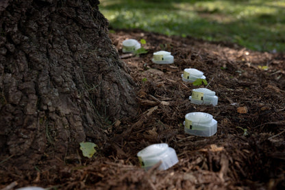 Mauget Stemix Plus - Injectable Tree Nutrient/Fertilizer Capsules - Tree Injection Products Co.