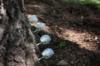 Mauget Stemix Plus - Injectable Tree Nutrient/Fertilizer Capsules - Tree Injection Products Co.