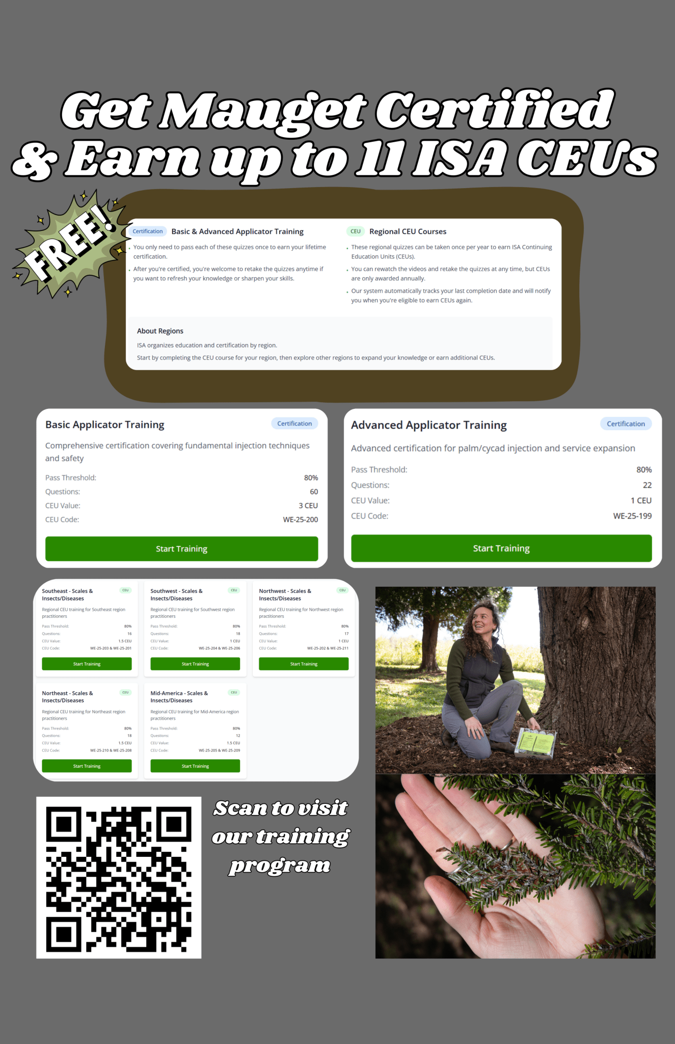 Mauget Fungisol - Injectable Broad Spectrum Fungicide Capsules