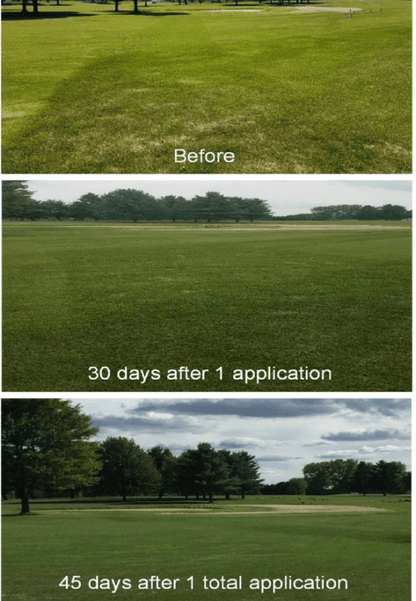 Mauget Revive - Micronized BioChar Suspension - Tree Injection Products Co.