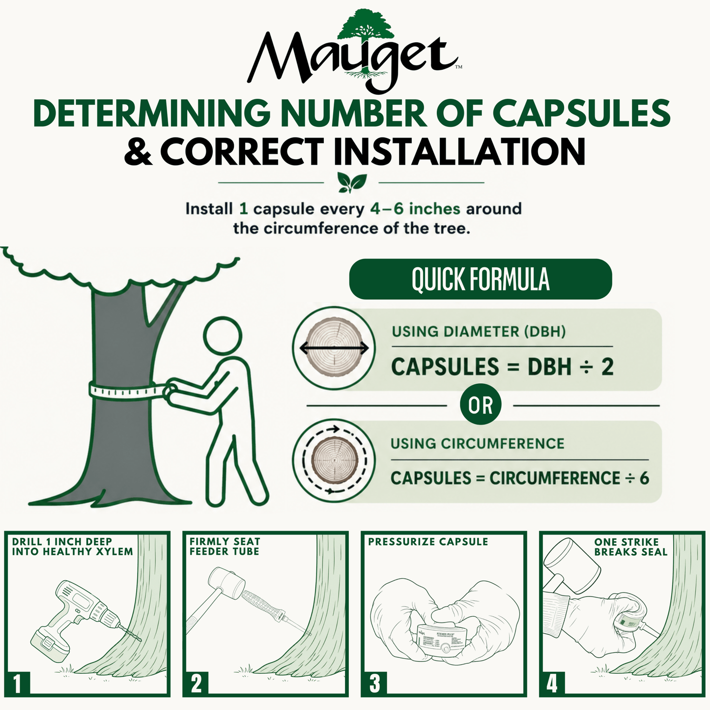 Mauget Dinocide - Injectable Dinotefuran Insecticide Capsules - Transtect Infusible - Tree Injection Products Co.