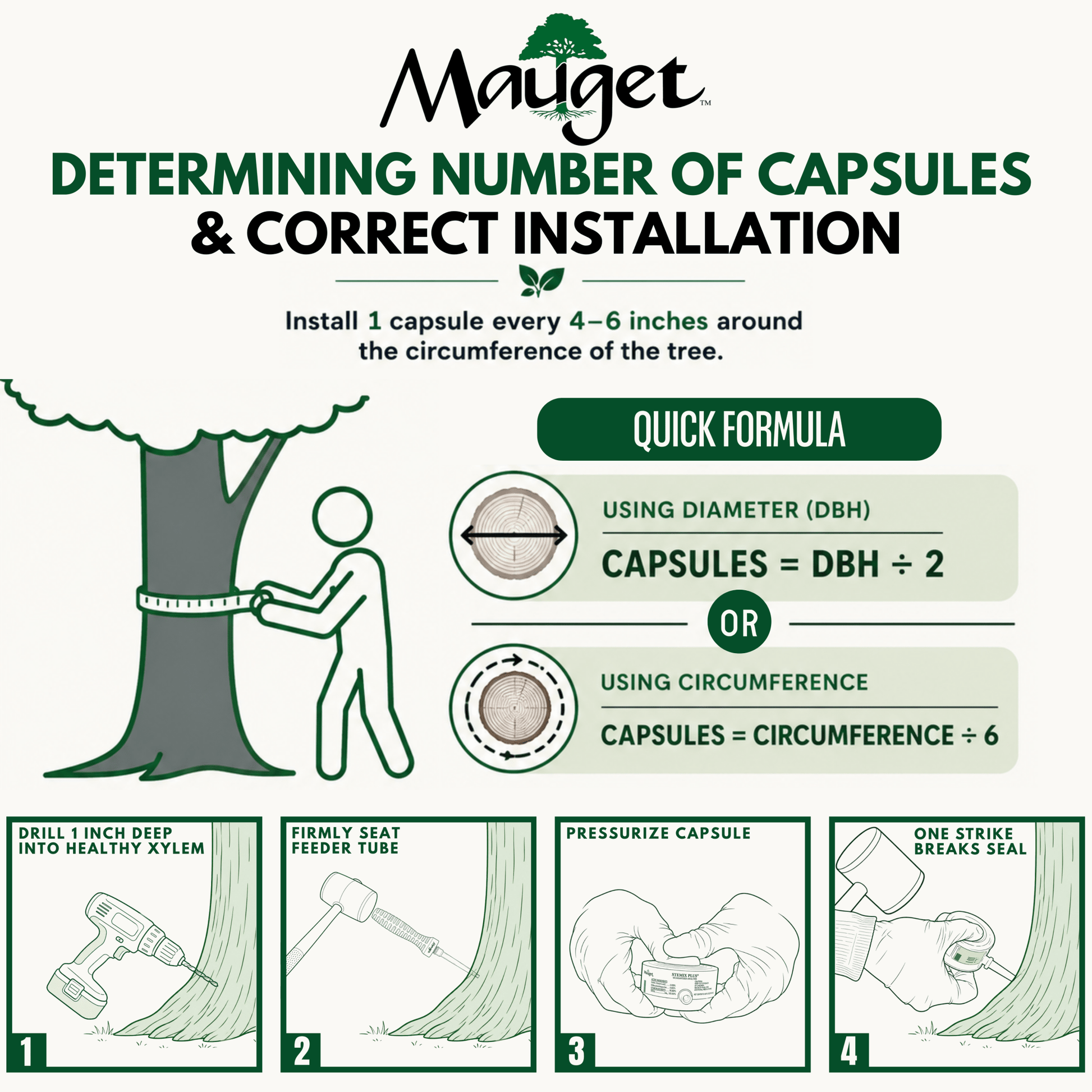 Mauget Dinocide - Injectable Dinotefuran Insecticide Capsules - Transtect Infusible - Tree Injection Products Co.