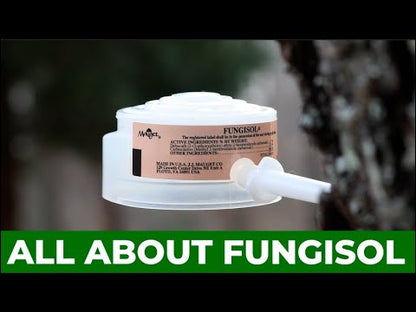 Mauget Fungisol - Injectable Broad Spectrum Fungicide Capsules
