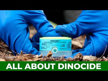 Mauget Dinocide - Injectable Dinotefuran Insecticide Capsules-Transtect Infusible