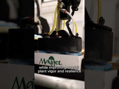 Mauget ArborFos HP - Injectable Phosphite Fungicide 1 Liter Bottle Beech Leaf Disease and More